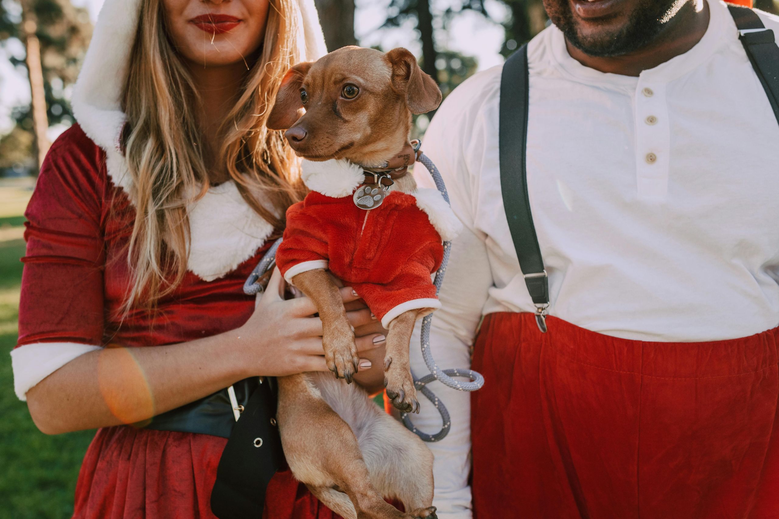 A small dog wearing a red holiday outfit is held by a woman in a red dress with white trim, standing next to a man in red pants and suspenders. They're outdoors with trees—perfect for sharing cute holiday storage tips after the festivities.